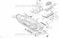 Rumpf