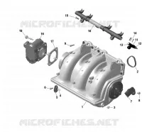 01- ROTAX - COLLECTEUR ADMISSION AIR ET CARTER DE PAPILLON