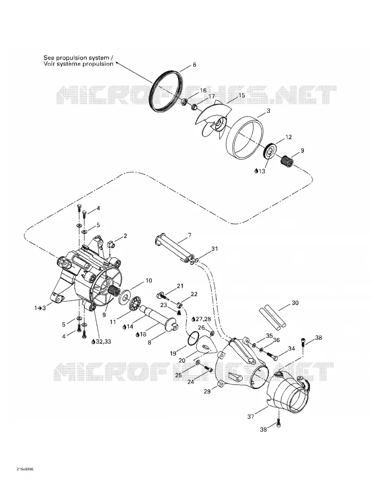 Pumpensystem