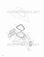Vorderes Fach