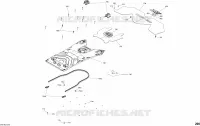 Rumpfhinterteil