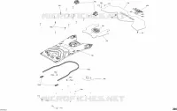 Rumpfhinterteil