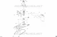 Rumpfhinterteil