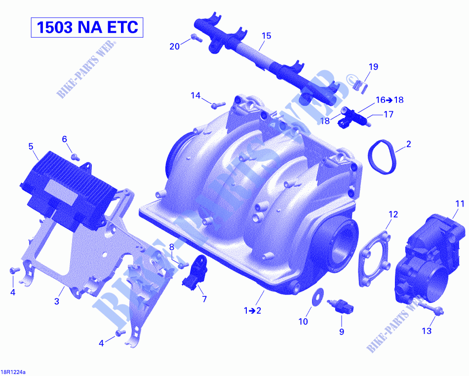 Ansaugkrümmer und Einspritzanlage für Sea-Doo GTI LIMITED  155 (39CA/39CB) 2012