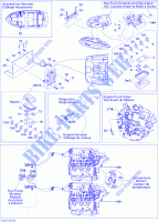 ELEKTRIC TEILE für Sea-Doo 00- Model Numbers Edition 1 2008