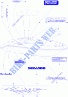 Abziehbilder, Vorderansicht für Sea-Doo 01- Cooling System 1996