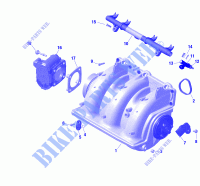 Motor   Ansaugkrümmer für Sea-Doo GTX 230 2020